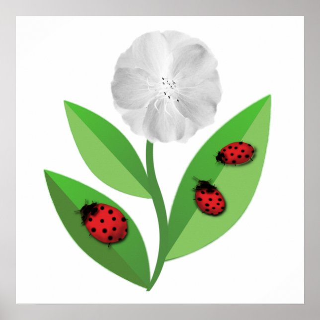 3 Ladybugs Poster (Vorne)