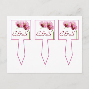 3 Lila Orchid Wedding Cup Picks Postkarte