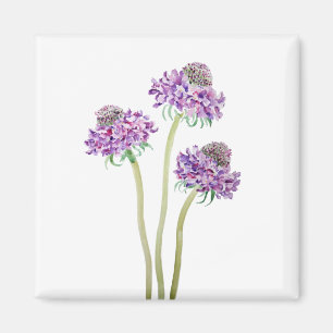 3 lila Scabiosa Scoop Blume Aquarell Magnet