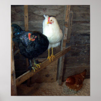 3 Little Hens Poster