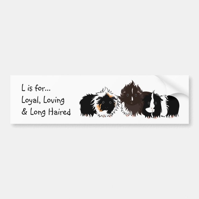 3 long haired piggies bumper sticker autoaufkleber (Vorne)