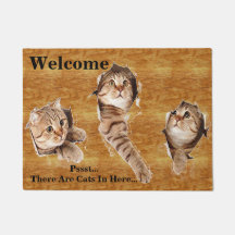 3 Miezekatze-Katzen-katzenartige Kätzchen, die