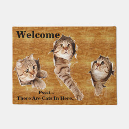 3 Miezekatze-Katzen-katzenartige Kätzchen, die Fußmatte
