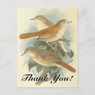 3 Oiseaux perchés sur une branche "Merci"! Carte p
