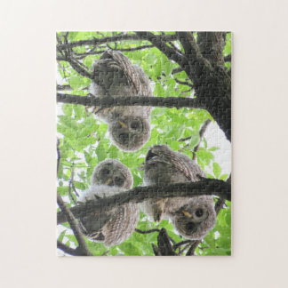 3 Owlets Jigsaw Puzzle