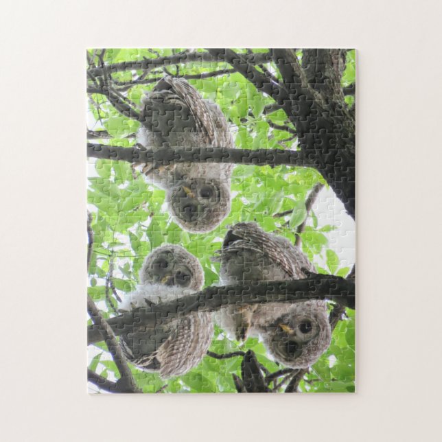 3 Owlets Jigsaw Puzzle (Vertikal)