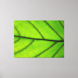 3 Panel-Canvas-Druck von Makro-Leaf Leinwanddruck