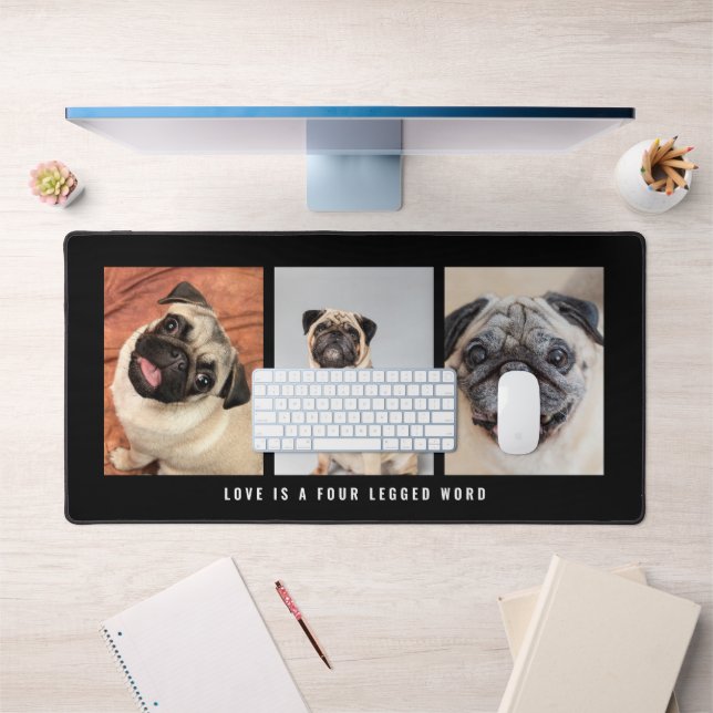 3 Photos Animaux Animaux De Compagnie L'Amour Est  (Bureau 1)