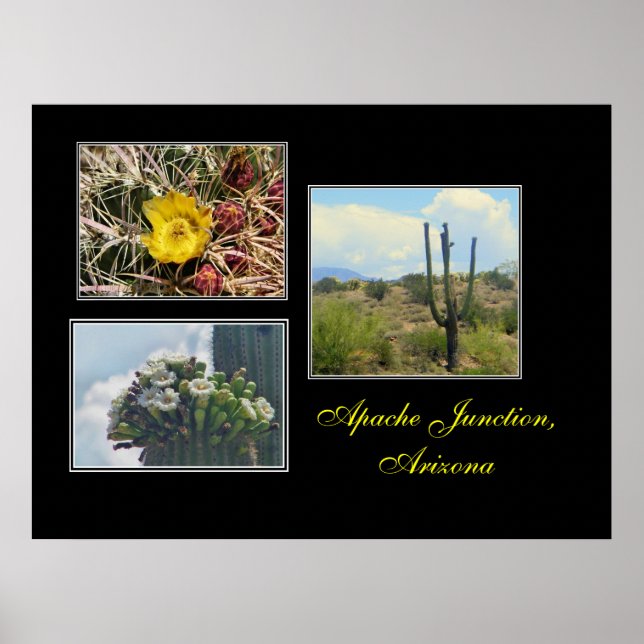 3 photos d'Apache Junction, Az impression (Devant)