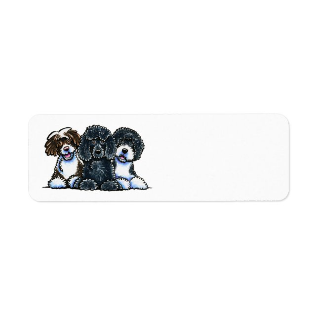 3 Portugiesische Wasserhunde (Vorne)