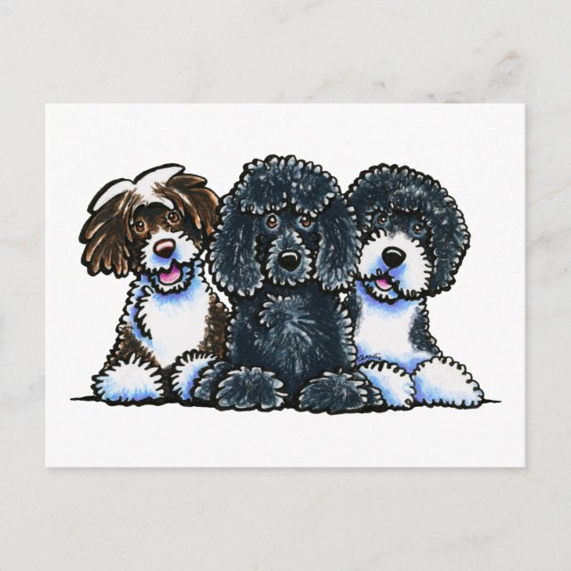 3 Portugiesische Wasserhunde Postkarte (Vorderseite)