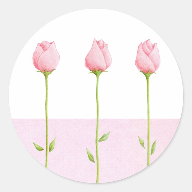 3 Rosa Rosenknospe Aufkleber (Vorderseite)