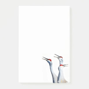 3 Sandhill Cranes Foto 4x6 Hinweise Post-it Klebezettel