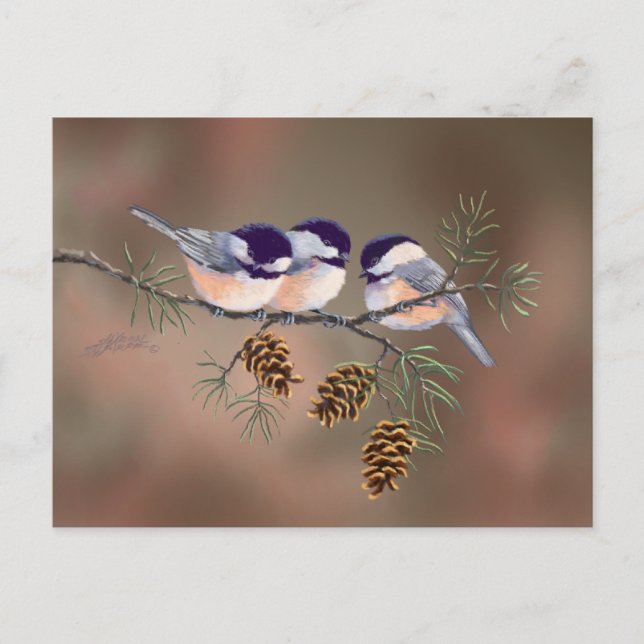 3 SCHICKKADEE & PINE CONESby SHARON SHARPE Postkarte (Vorderseite)