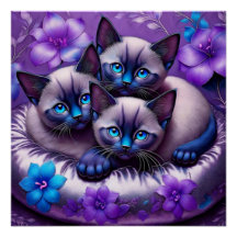 3 Siamische Kätzchen Purple Blumen Silberkissen