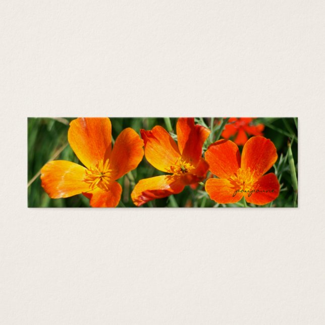 3 soeurs signet (Devant)