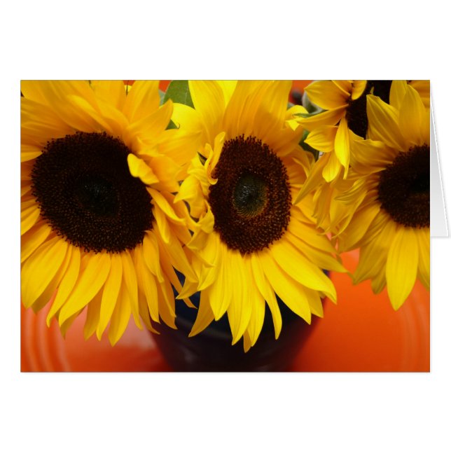 3 Sonnenblumen (Vorderseite (Horizontal))