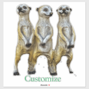 3 Stehend Meerkats Thunder_Cove Aufkleber