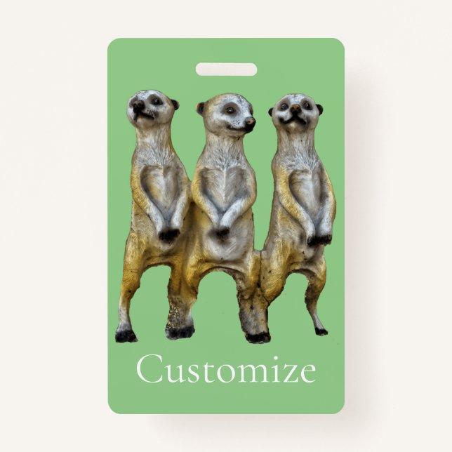 3 Stehend Meerkats Thunder_Cove Ausweis (Vorderseite)