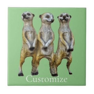 3 Stehend Meerkats Thunder_Cove Fliese
