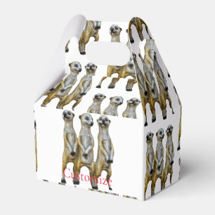 3 Stehend Meerkats Thunder_Cove Geschenkschachtel