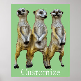 3 Stehend Meerkats Thunder_Cove Poster