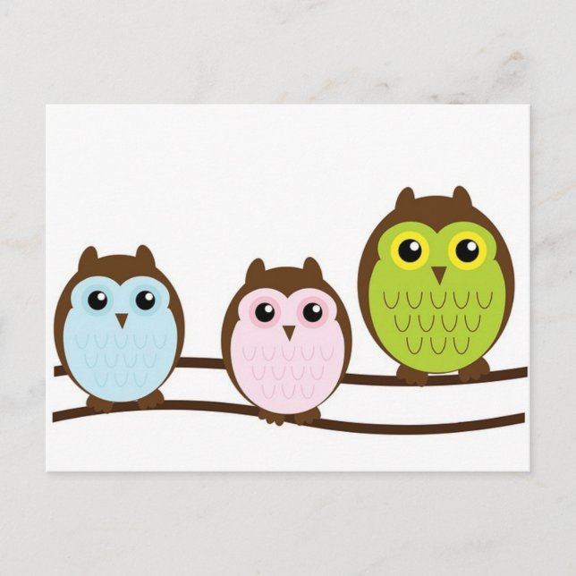 3 Süße Eulen Postkarte (Vorderseite)
