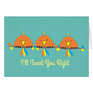 3 Vögel, die ich dir gleich Getweetet habe