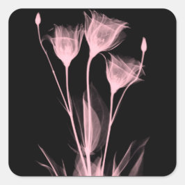 3 Weinetikett X-Ray-Blume Quadratischer Aufkleber