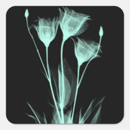 3 Weinetikett X-Ray-Blume Quadratischer Aufkleber