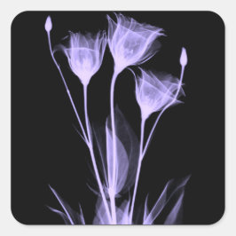 3 Weinetikett X-Ray-Blume Quadratischer Aufkleber