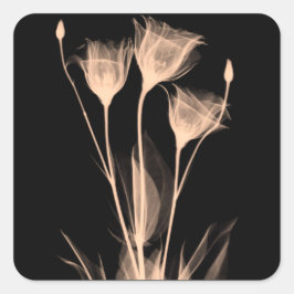 3 Weinetikett X-Ray-Blume Quadratischer Aufkleber