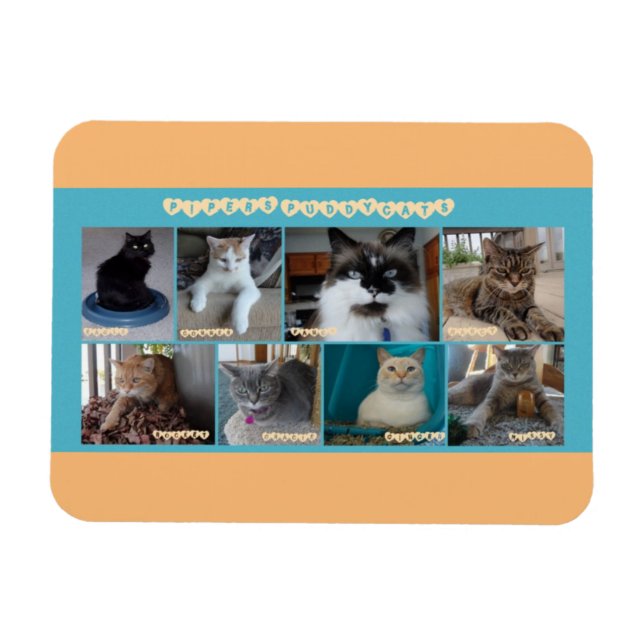 3 x 4 flexibler Magnet (Horizontal)