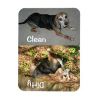 3" x 4" Sauberer/schmutziger Beagle Foto Geschirrs