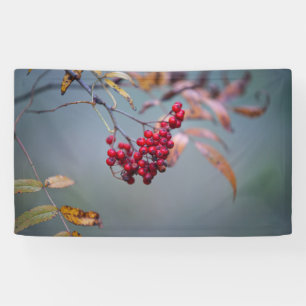 3' x 5' Banner