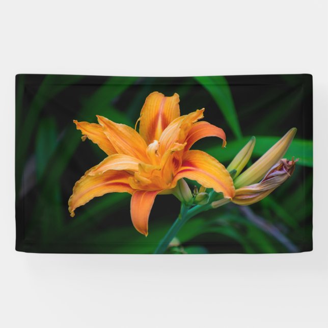 3' x 5' Banner (Horizontal)