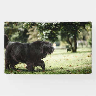 3' x 5' Banner
