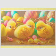 3 Yellow Little Oaster Chicks Collection