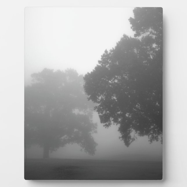 3Bäume Fotoplatte (Vorderseite)