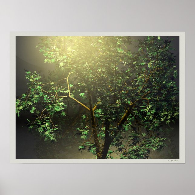 3D Japanischer Ahornbaum Poster (Vorne)