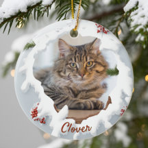 3D Katzen-Weihnachten personalisiertes Foto Hausti