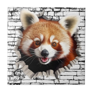 3D Roter-Panda-Wandbruch-Kunst – Realistischer Saf Fliese