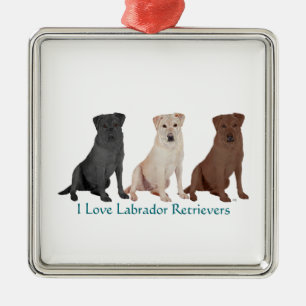3Labs Silbernes Ornament