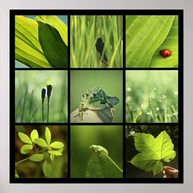3x3 grüne Fotos drucken Poster (Vorne)