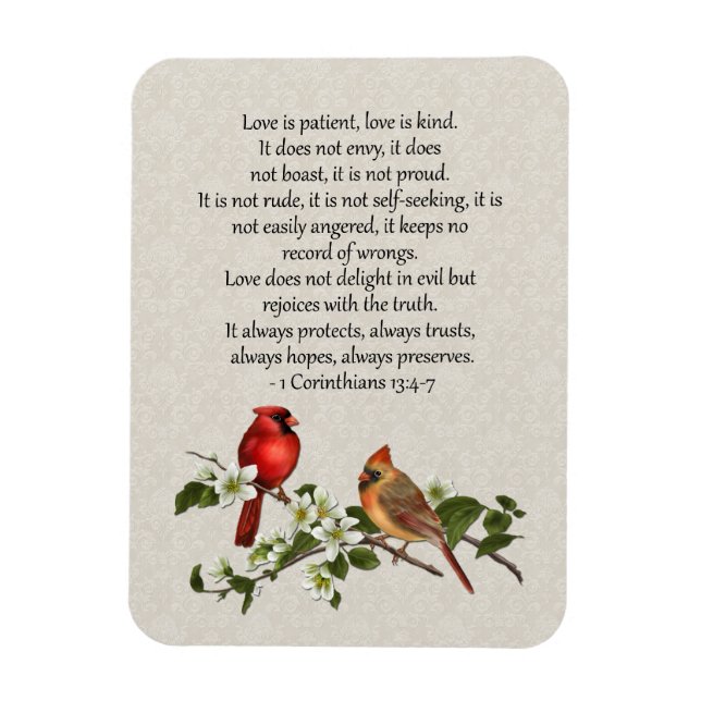 3x4 Kardinal Dogwood Liebe is Patient Liebe is Kin Magnet (Vertikal)
