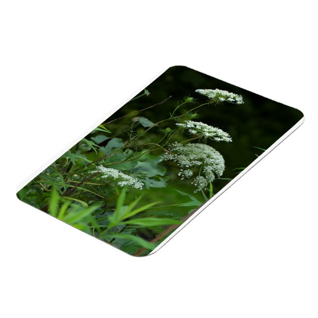 3x4-Magnetschablone Magnet (Linke Seite)