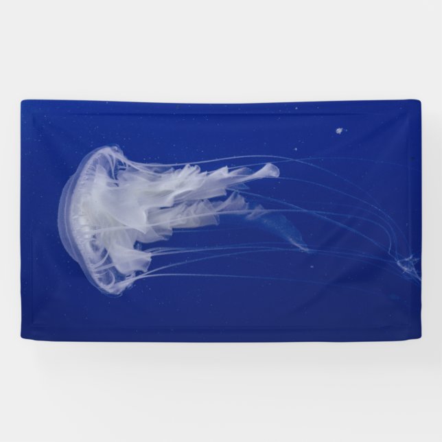 3'x 5' Banner (Horizontal)