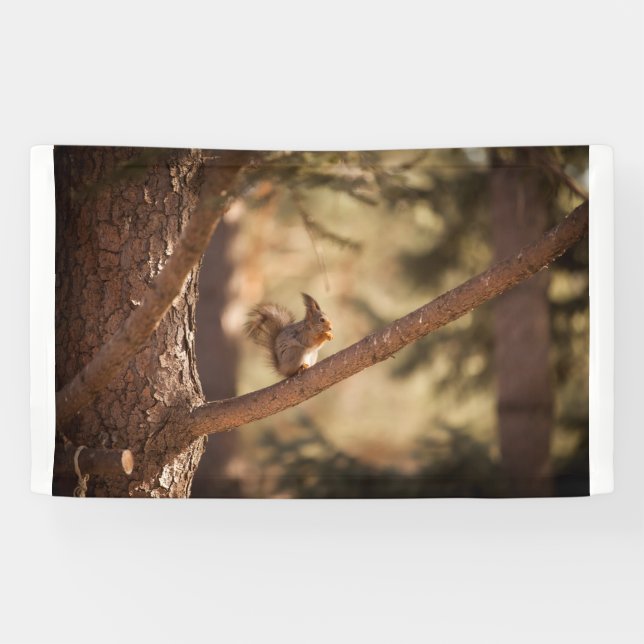 3'x 5'-Banner Banner (Horizontal)