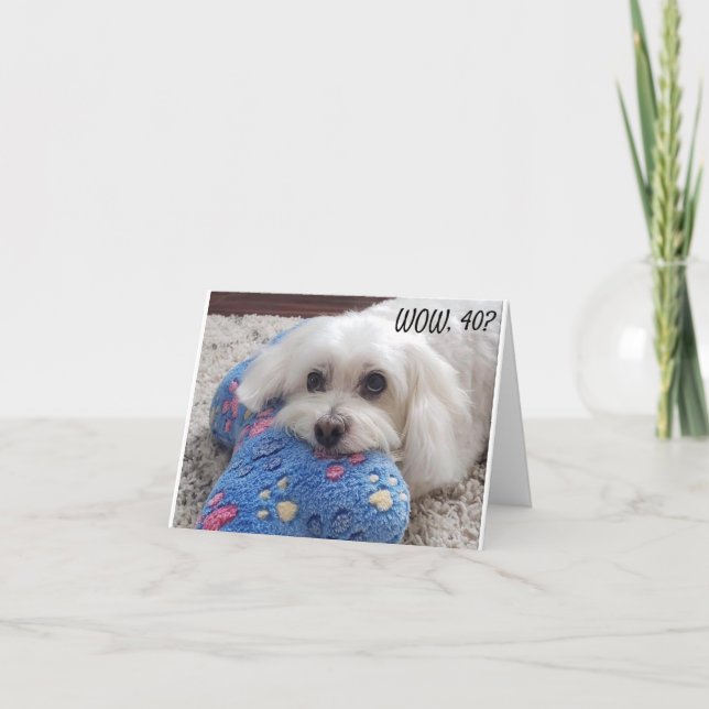 *40. BIRTHDAY* HA HA (FUNNY DOG SPASS) KARTE (Vorderseite)