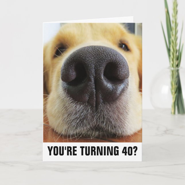40. BIRTHTAGFUNNY DOG GREETING CARDS KARTE (Vorderseite)